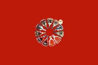 延安市子长市回收红酒